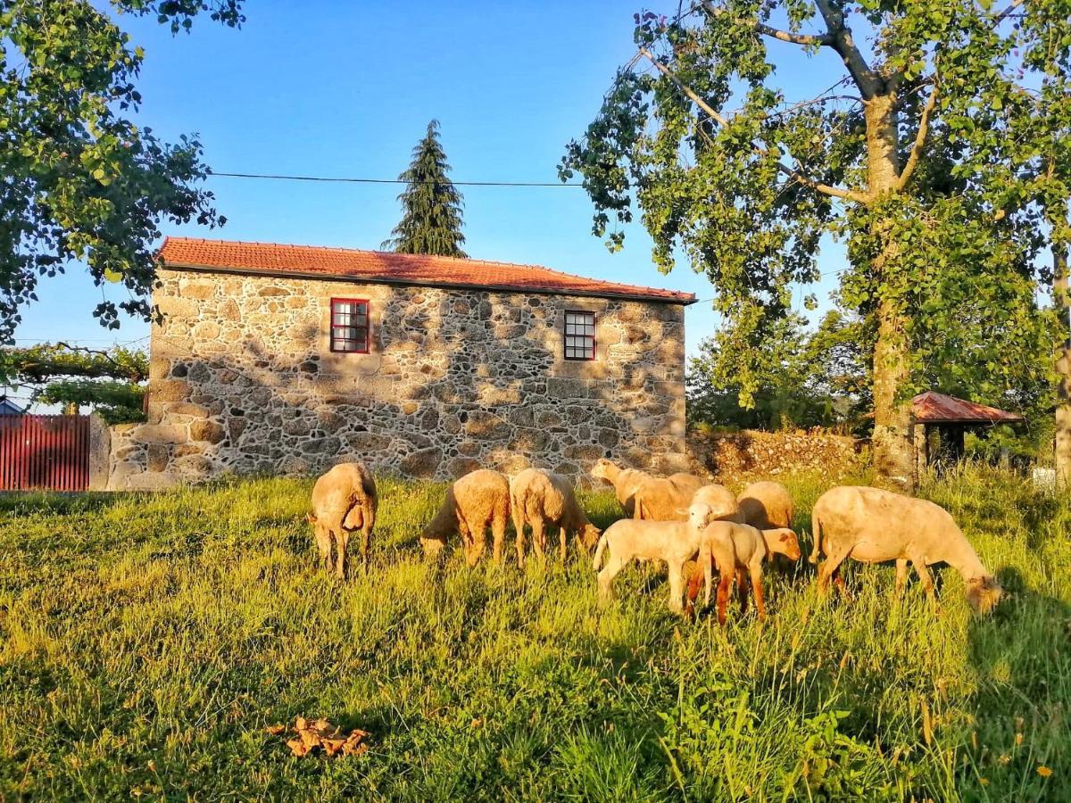 Гостевой дом Casa Do Cruzeiro Паредиш-ди-Кора Экстерьер фото